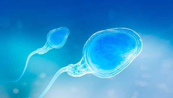 鄢陵县哪些州代孕合法,做美国试管婴儿卵子不受精是怎么回事？-做了试管但胎