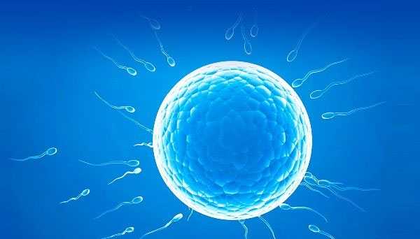 鄢陵县哪些州代孕合法,做美国试管婴儿卵子不受精是怎么回事？-做了试管但胎