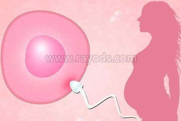 长沙县代妈问优宝助孕专家_试管婴儿身体条件是必须达到什么样才能做