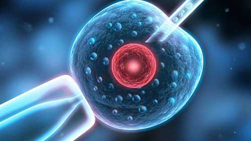 试管婴儿胚胎细胞级别怎么看